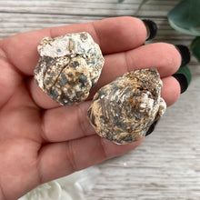 Load image into Gallery viewer, Raw Specimen: Ocos Geode &quot;A&quot;

