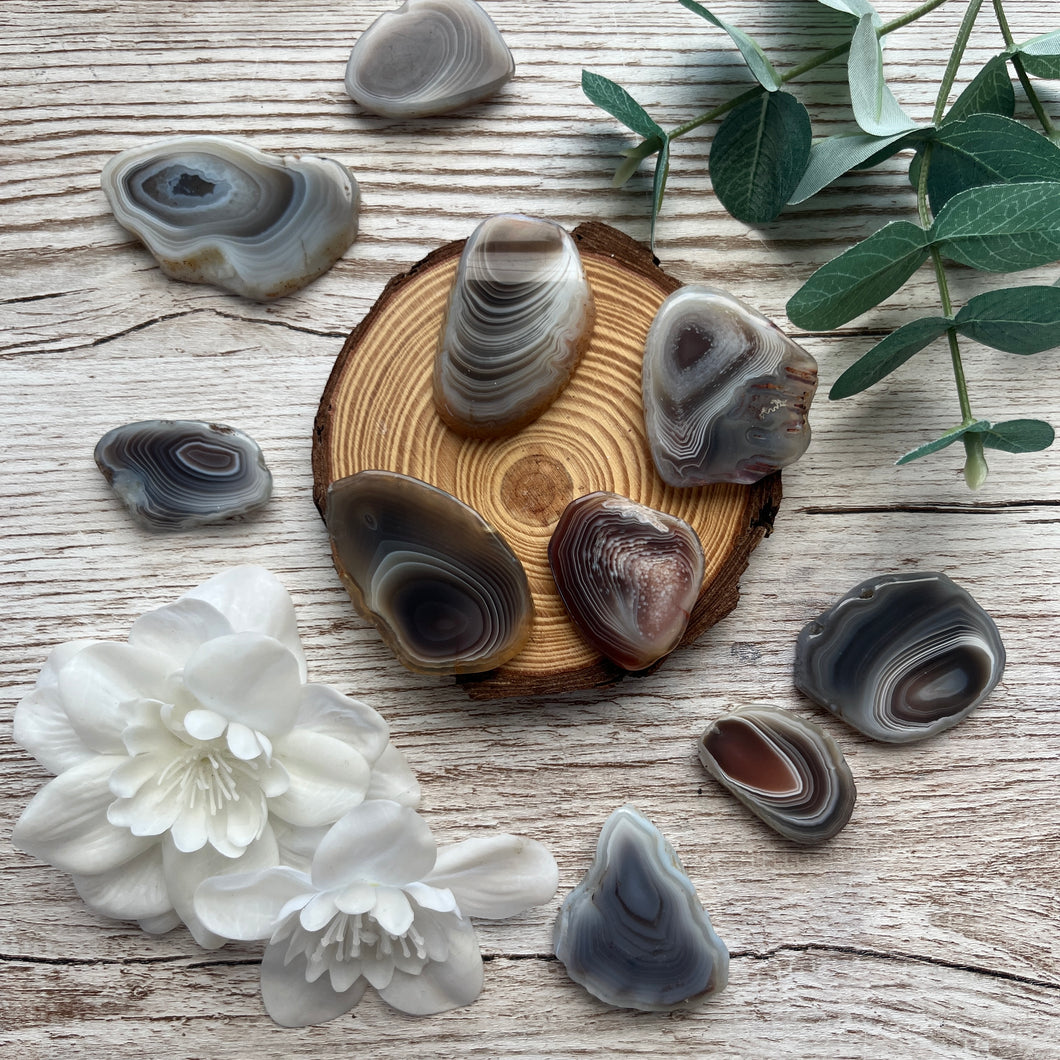 Botswana Agate Slices