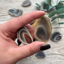 Load image into Gallery viewer, Botswana Agate Slices
