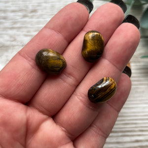 Misfit: Tigers Eye Cabochon Bag