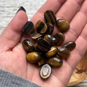 Misfit: Tigers Eye Cabochon Bag