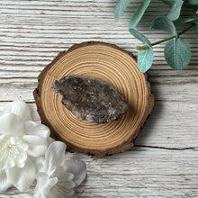 Load image into Gallery viewer, Cluster: Smoky Elestial (Skeletal) Quartz B
