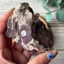 Load image into Gallery viewer, Raw Specimen: Purpurite H
