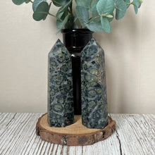 Load image into Gallery viewer, Dark Kambaba Jasper Tower
