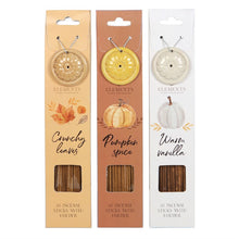 Load image into Gallery viewer, Autumn Accents Incense Sticks: Warm Vanilla
