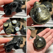 Load image into Gallery viewer, Golden Sheen Obsidian Land Turtle
