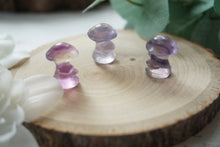 Load image into Gallery viewer, Mini Rainbow Fluorite Duo Mushrooms
