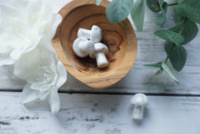 Load image into Gallery viewer, Howlite Mushrooms

