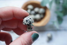 Load image into Gallery viewer, Dalmatian Mushrooms
