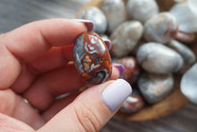 Load image into Gallery viewer, Crazy Lace Agate Tumble
