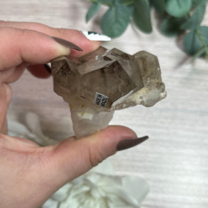 Cluster: Smoky Elestial (Skeletal) Quartz E