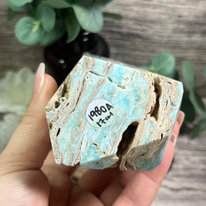 Blue Aragonite Statement Generator