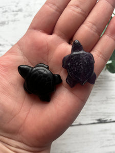 Small Sea Turtle