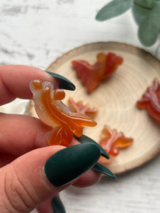 Mini Goldfish