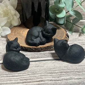 Black Obsidian Comfy Cat