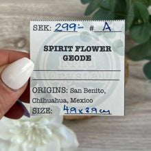 Load image into Gallery viewer, Raw Specimen: Spirit Flower Geode A
