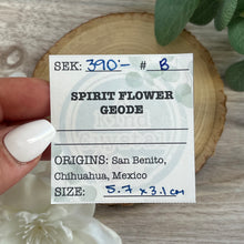 Load image into Gallery viewer, Raw Specimen: Spirit Flower Geode B
