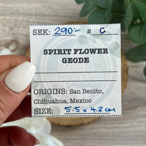 Raw Specimen: Spirit Flower Geode C