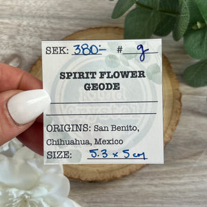 Raw Specimen: Spirit Flower Geode G
