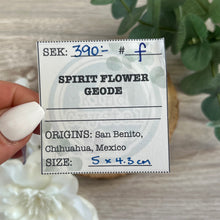 Load image into Gallery viewer, Raw Specimen: Spirit Flower Geode F
