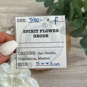 Raw Specimen: Spirit Flower Geode F