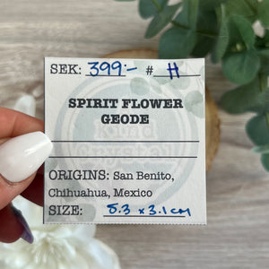 Raw Specimen: Spirit Flower Geode H