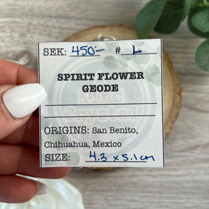 Raw Specimen: Spirit Flower Geode L