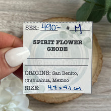 Load image into Gallery viewer, Raw Specimen: Spirit Flower Geode M
