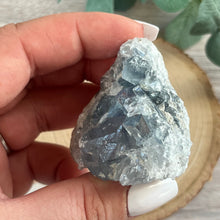 Load image into Gallery viewer, Raw Specimen: Celestite D
