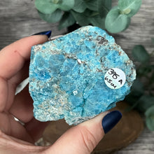 Load image into Gallery viewer, Small Semi-Polished Blue Apatite A
